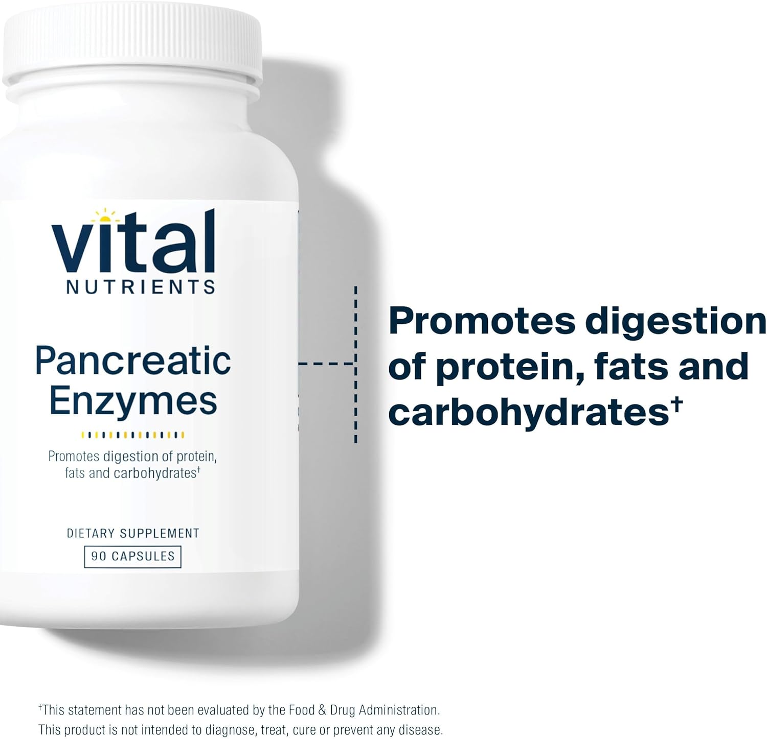 Vital Nutrients Pancreatic Enzymes 1000 mg (Full Strength) – Digestive Enzyme Supplement | 90 Capsules