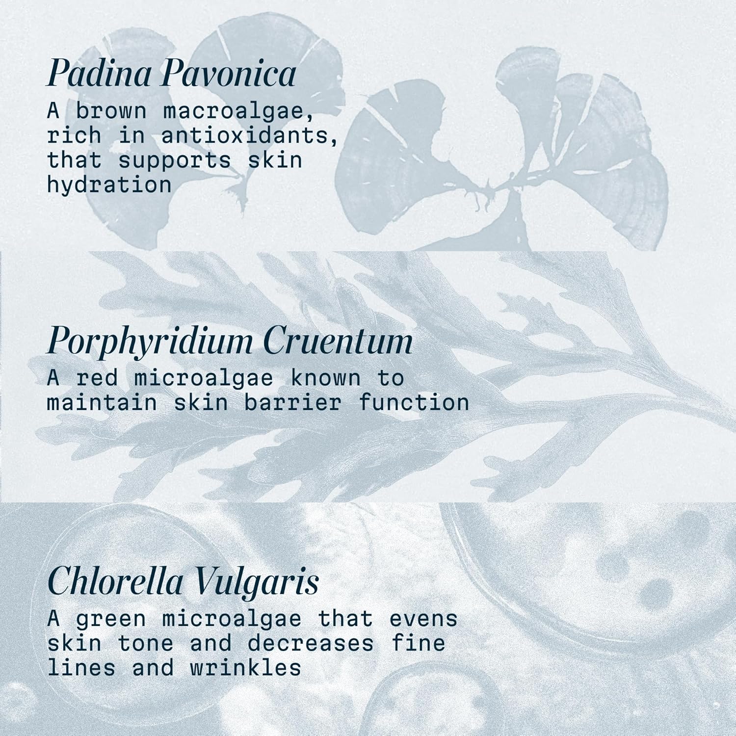 ELEMIS Pro-Collagen Marine Cream SPF 30 – Lightweight Anti-Wrinkle Daily Moisturizer